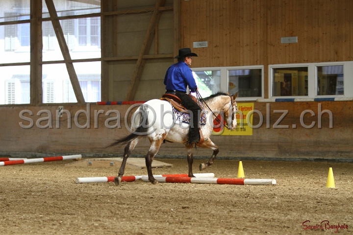 26-ApHC GT_114.jpg
